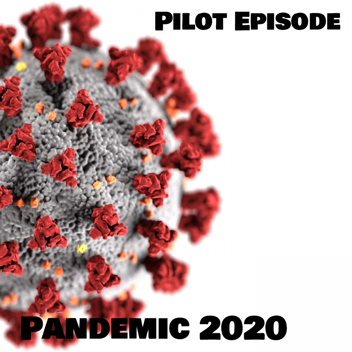 Pilot Episode: Pandemic 2020